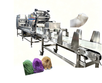 Machine à pâte commerciale, machine à nouilles, machine à rouler la pâte, machine à faire des enveloppes de raviolis, machine à faire des peaux de wontons en acier inoxydable