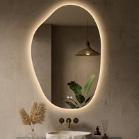 Miroir mural rétroéclairé bio sans cadre avec éclairage halo pour chambre, salon, entrée, salle de bain, coiffeuse, décoration intérieure, vente en gros