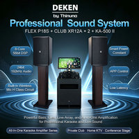 Amplificateur de puissance intégré DEKEN KA-500 II 500W avec DSP et contrôle par application, suppresseur de rétroaction pour karaoké commercial et clubs