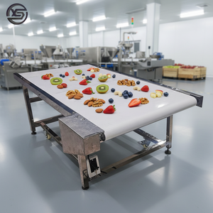 CE-gecertificeerde, op maat gemaakte transportbanden van 304 roestvrij staal, food grade, met PU-band, automatische snelheidsregeling, 500 mm breed, 2 m lang. - Product Image 3
