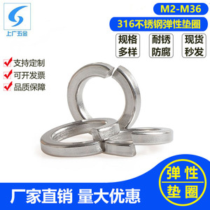 แหวนสปริงเหล็กกล้าไร้สนิม 316 ของ Shanghai Guang Hardware ขนาด M2 M4 M6 M8 M10 M36 แบบแยกส่วน มาตรฐาน GB93 - Product Image 5