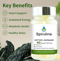 Suppléments santé vitamine B12 gélules booster d'énergie spiruline biologique pour le cerveau