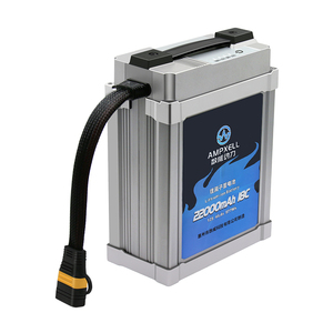 Fabrika orijinal 22000mah LIPO pil akıllı 22Ah 12S 44.4V/976 8Wh tarımsal püskürtücü Drone İha - Product Image 2