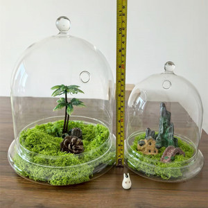 Contenitore <span class=keywords><strong>moderno</strong></span> <span class=keywords><strong>in</strong></span> <span class=keywords><strong>vetro</strong></span> trasparente per terrario con Base Airhole per casa Display da tavolo Cloche Dome per il <span class=keywords><strong>centrotavola</strong></span> fiore vegetale - Product Image 2