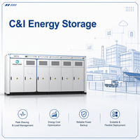 Sistema de Almacenamiento de Energía Solar Híbrido Inedge Power, Batería de Almacenamiento de Energía Renovable de 1MWh 2MWh, BMS, EMS, BESS, Sistema de Almacenamiento de Energía en Contenedor Refrigerado por Líquido