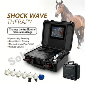 Appareil de thérapie par ondes de choc pour chevaux, portable, en <span class=keywords><strong>valise</strong></span>, pour centre équestre - Product Image 3