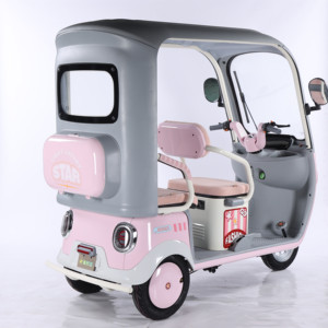Tricycle électrique 650W 60V20AH Batterie au plomb-acide Pneu 300-10 Moteur sans balais 3 vitesses Frein hydraulique Moto à 3 roues - Product Image 4