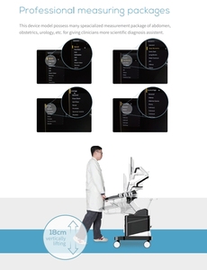 Giảm giá sản phẩm mới hoàn toàn kỹ thuật số giỏ hàng siêu âm DOPPLER màu siêu âm cụ chẩn đoán + Tùy chọn hai đầu dò mslcu10 - Product Image 6