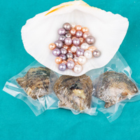 Perle d'amour, cadeau de fête, emballée sous vide, 10-13 mm, qualité Aaa, perle d'eau salée ronde cultivée, huître Edison