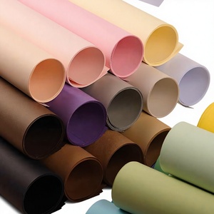 250gsm Thick Colored Offset <b>Paper</b> Assorted Colored Bristol Board in <b>Roll</b> or Sheet Packaging - Product Image 1