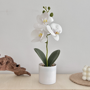 Venta al por mayor nuevos artículos de decoración <span class=keywords><strong>para</strong></span> el hogar PC Feng Shui <span class=keywords><strong>flores</strong></span> decorativas y coronas adorno colgante de plástico orquídea felicitaciones - Product Image 5
