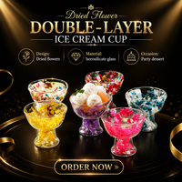 Dubbelwandige glazen ijsbeker met gedroogde bloemen, van borosilicaatglas, voor yoghurt, fruit, desserts, geschikt voor thuis en café.
