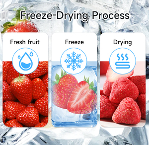 <span class=keywords><strong>Liofilizador</strong></span> de alimentos pequeño para <span class=keywords><strong>cocina</strong></span> o laboratorio de I + D | Ideal para secado a baja temperatura - Product Image 5