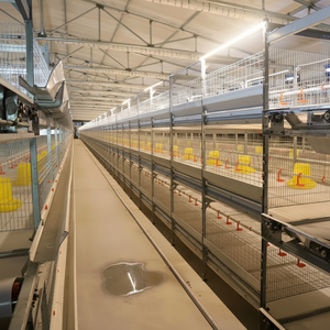 Abreuvoirs à entonnoir Planchers résistants aux taches Petite cour Élevage de poulets de chair Cage à poulets de chair à plusieurs niveaux de base - Product Image 1