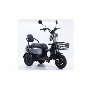 Moto électrique 600W à une vitesse, scooter 48V, mobilité, 2 places, cadre en acier à haute teneur en carbone pour les personnes âgées - Product Image 1