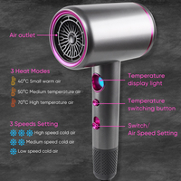 Kit Sèche-Cheveux Professionnel Léger avec Brosse Soufflante Chaude pour Salon de Coiffure