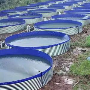 P001 Filtre de réservoir pour bassin d'aquaculture et produits aquatiques, avec égouttoir en forme d'entonnoir à courbure intérieure, pour évacuation des eaux usées sans angle mort - Product Image 5