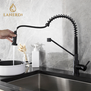 <span class=keywords><strong>Rubinetto</strong></span> da Cucina Moderno RTS in Acciaio Inox 304 Nero, Monocomando, Monoforo, <span class=keywords><strong>con</strong></span> Doccetta Estraibile e Tubo <span class=keywords><strong>Flessibile</strong></span> - Product Image 2