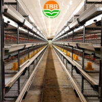 Cage manuelle en batterie de type H pour poules pondeuses Cages pour poules pondeuses 2000 couches élevage de volailles avec système de nettoyage à courroie