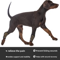 Attelle de genou pour chien en néoprène avec bande métallique, support élastique, protection articulaire pour chien âgé, aide à la rééducation postopératoire