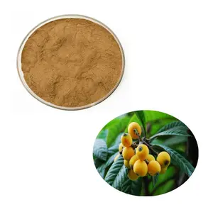 Высококачественный чистый экстракт листьев Loquat, Урсоловая Кислота, 25% порошок оптом