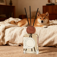 Flacon diffuseur de parfum en verre de luxe vide 120ml 250ml 500ml 1000ml, flacon vaporisateur d'ambiance avec logo personnalisé