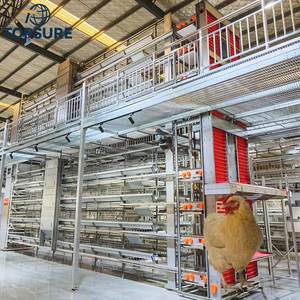 Gallinero Tipo H <span class=keywords><strong>de</strong></span> Nueva Construcción con Jaulas <span class=keywords><strong>de</strong></span> Múltiples Niveles - Product Image 1