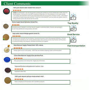 Proteína de Suero en Polvo a Granel WPI <span class=keywords><strong>90</strong></span>% para Nutrición Deportiva, Ingrediente Crudo OEM, Etiqueta Privada, Aislado de Suero, Concentrado, Hidrolizado, GMP - Product Image 4