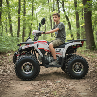 Quad ATV Tao Motor 2026, nouveau modèle, jantes en alliage, transmission par chaîne, automatique, 125cc, pour adolescents, quad chinois pas cher, ATV de ferme 125 avec CE EPA
