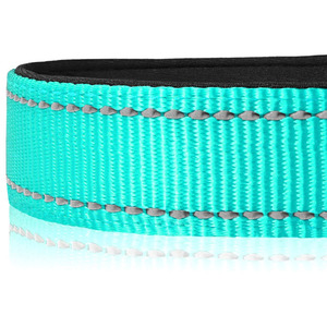 Direktverkauf Nylon-Hundehalsband mit Weicher Neopren-Polsterung und Atmungsaktivem Verstellbarem Hochwertigem Robustem Premium-Hundehalsband - Product Image 3