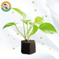 Jardin Abeille Plante Croissance Tourbe Noix De Coco Graine Démarrage Granulés De Coir Bloc De Pépinière Smart Coco Tourbe Mousse Bloc de sol avec Nutrition