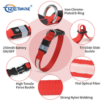 Collier pour chien lumineux à LED personnalisé en gros de Chine, accessoires pour animaux de compagnie, collier pour chien à LED rechargeable et étanche