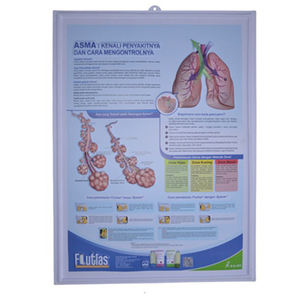 Tableau de voyage éducatif 3D, breloques murales anatomiques en plastique - Product Image 4