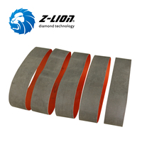 Bandes diamantées Z Lion 1180*80mm pour la machine Lisec KSR