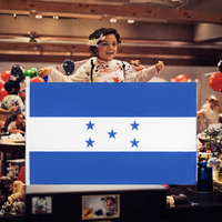 1 exemplaire disponible, prêt à être expédié, drapeau du Honduras 3x5 pieds (90x150 cm), FLAGLINK, polyester, doux