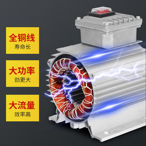 Pompe à huile électrique 12V/24V/220V à amorçage automatique pour port de Wenzhou, pompe à carburant diesel compacte et pièces détachées - Product Image 2