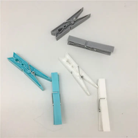 Lot de 24 pinces à linge économiques en plastique pour serviettes de plage et vêtements