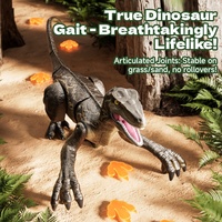 4DRC Dinosaurio de Control Remoto de Gran Tamaño 2.4G, Realista, Camina, con Demostración Automática, Rociador de Agua, Biomimético, Modelo RC, Juguetes de Animales con Luces