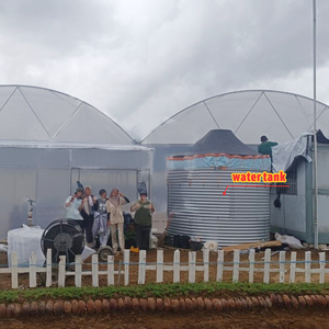 <span class=keywords><strong>Multi</strong></span> span nhà kính nông nghiệp lớp duy nhất kích thước lớn PE phim dâu nhà kính ở Indonesia - Product Image 5