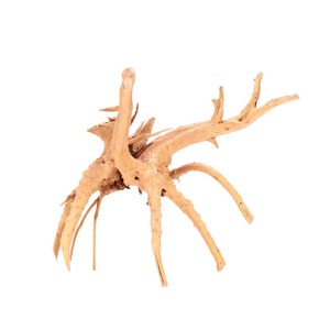 PKY En gros Bois de Cholla non toxique, racine de <span class=keywords><strong>cactus</strong></span> écologique pour aquarium de crevettes, vivarium, aménagement paysager et boîte de vie - Product Image 6