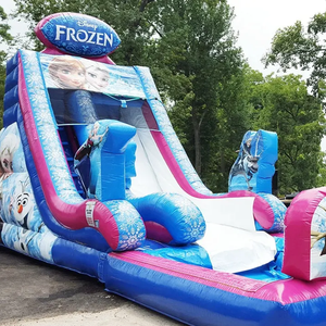 Hot bán đông lạnh chủ đề Nước Đôi thương mại cho thuê hồ bơi sân sau lớn trượt Inflatable trò chơi bơm hơi cho trẻ em - Product Image 4