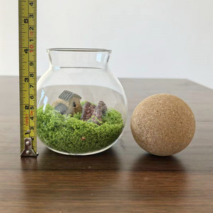Terrarium en verre écologique 10*13cm avec couvercle en liège et boule en bois pour <span class=keywords><strong>jardin</strong></span> de bureau, plantes en mousse, <span class=keywords><strong>mini</strong></span> paysage intérieur - Product Image 6
