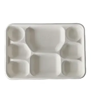 White 8 Compartment Plate