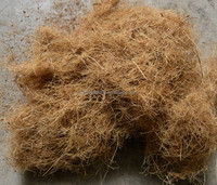 Machine de décorticage extracteur de coco en bambou entièrement automatique pour séparateur de fibres de fruits de palme en vente