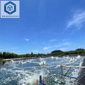 Chất lượng tốt HDPE geomembrane với độ thấm thấp HDPE Pond Liner geomembrane - Product Image 4