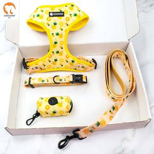 Arnés, Correa y Collar de Neopreno Personalizados con Logotipo Impreso de Diseño de Lujo, Soporte de Fábrica OEM ODM - Product Image 3