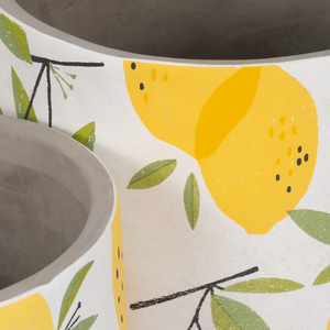 Vasi per Fiori in Ceramica con Motivo Limoni, Eleganti Fioriere per Piante da Interno e Decorazione Casa - Product Image 4