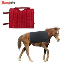 Couverture chauffante infrarouge à lumière rouge pour le bien-être des animaux, sans EMF, à impulsions, professionnelle, pour chevaux et équidés