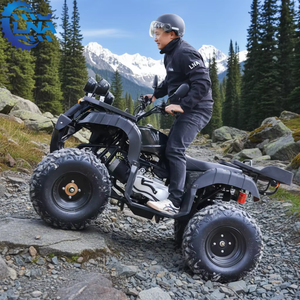 Cuatrimotos LNA de 250cc listas para enviar, piezas disponibles para adultos, listas para alquilar - Product Image 5