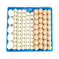 Plateau à œufs automatique 360 degrés, ustensile rotatif à 220V, 70-108, bleu, multifonctionnel